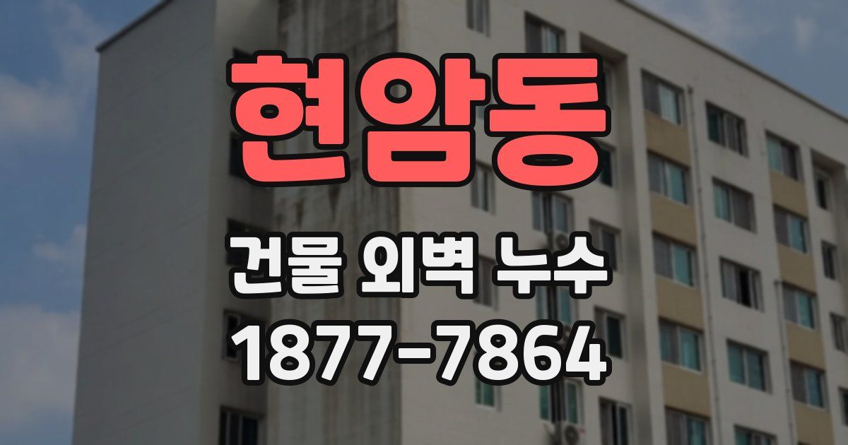 현암동 건물 외벽 누수