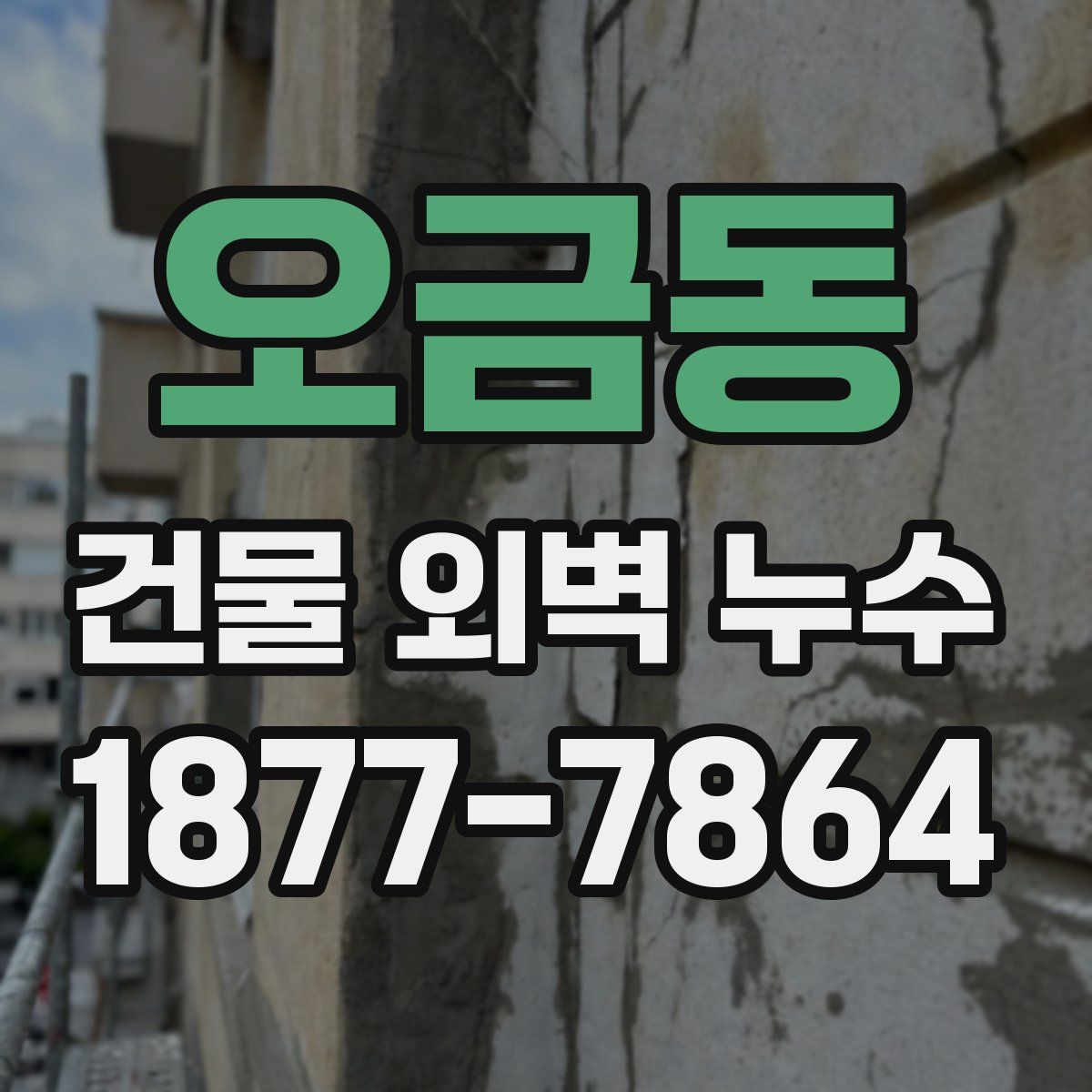 오금동 건물 외벽 누수