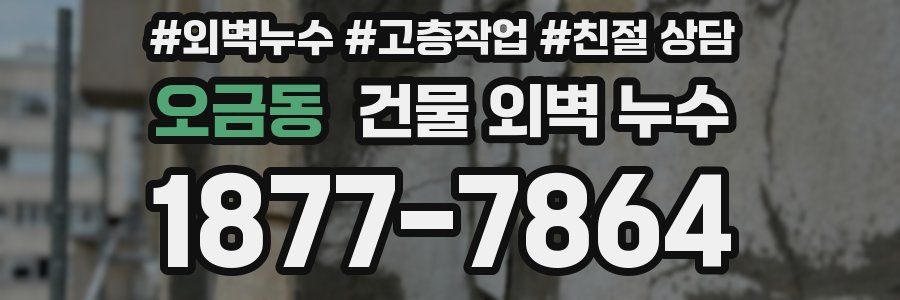 오금동 건물 외벽 누수