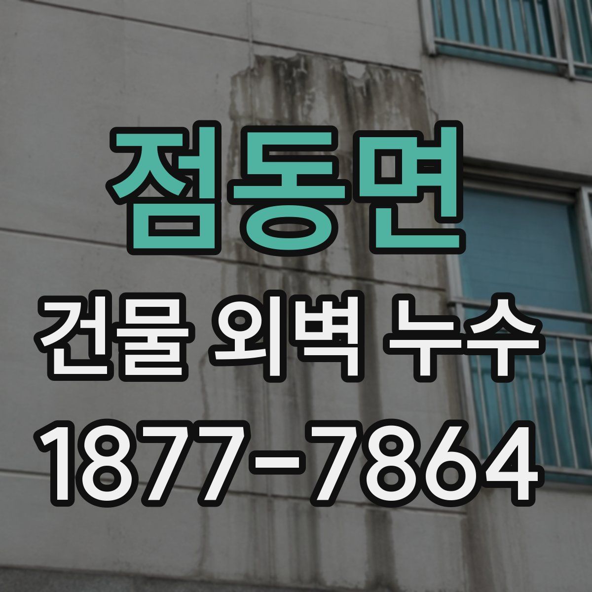 점동면 건물 외벽 누수