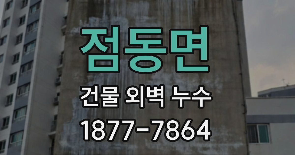 점동면 건물 외벽 누수