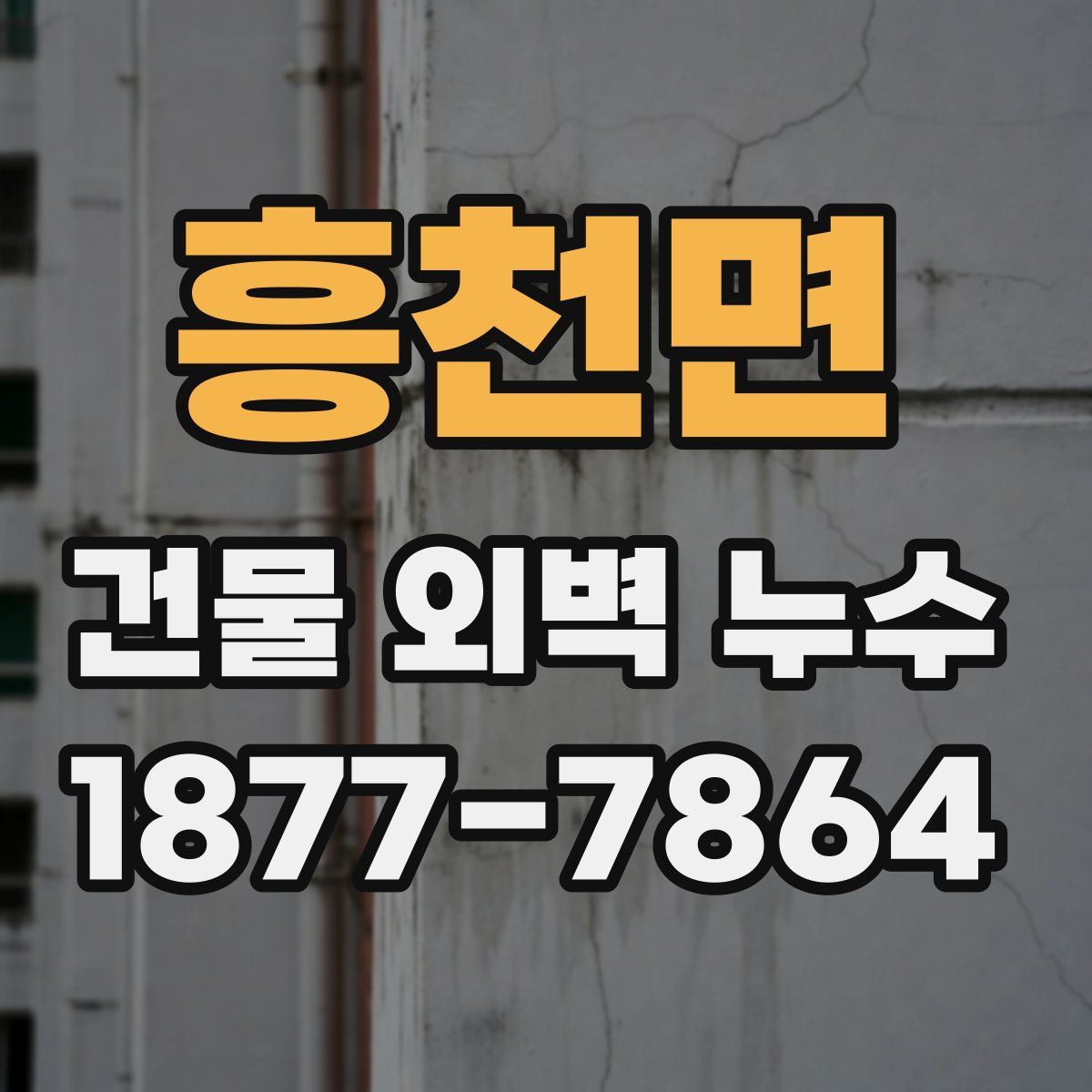 흥천면 건물 외벽 누수
