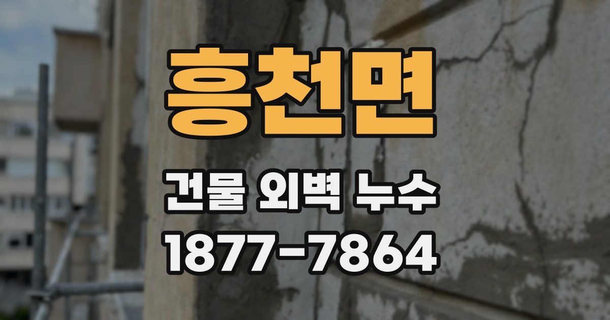 흥천면 건물 외벽 누수