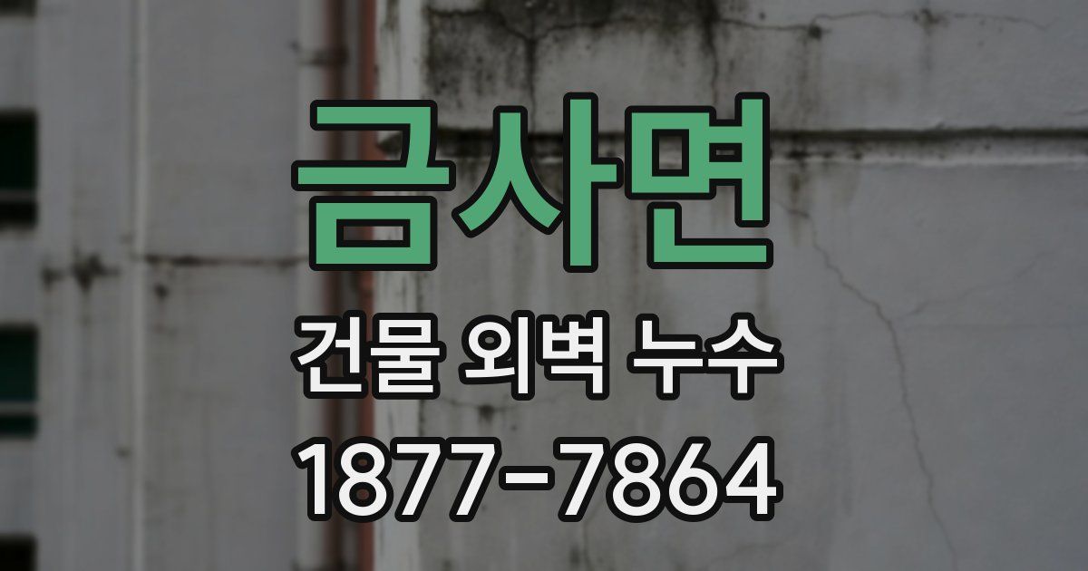 금사면 건물 외벽 누수