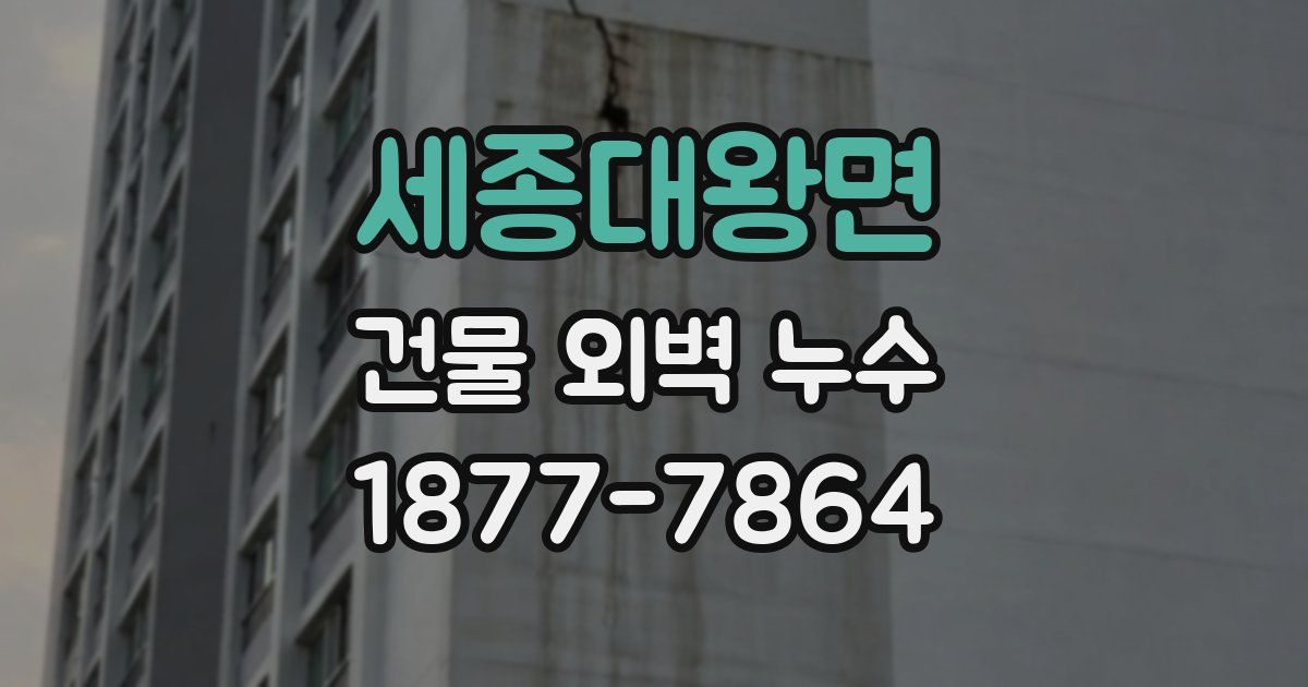 세종대왕면 건물 외벽 누수