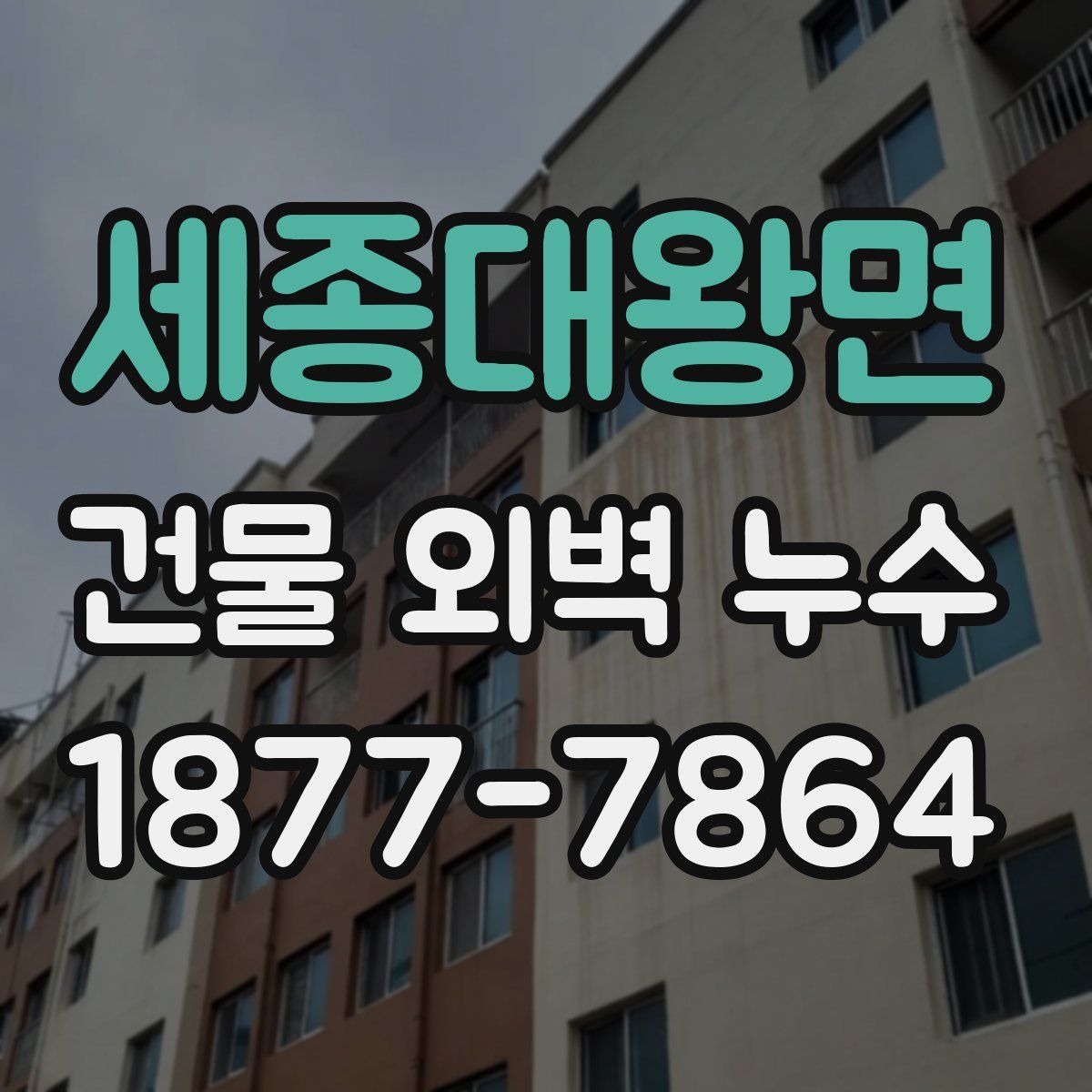 세종대왕면 건물 외벽 누수