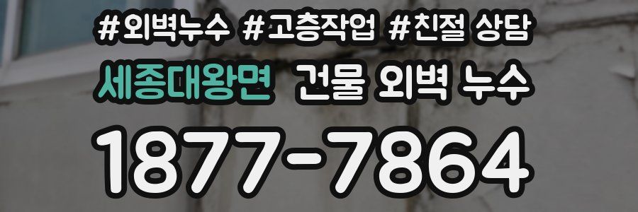 세종대왕면 건물 외벽 누수