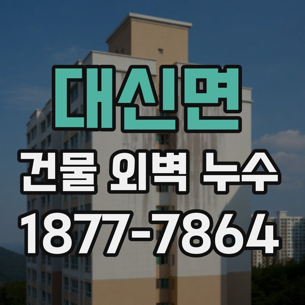 대신면 건물 외벽 누수