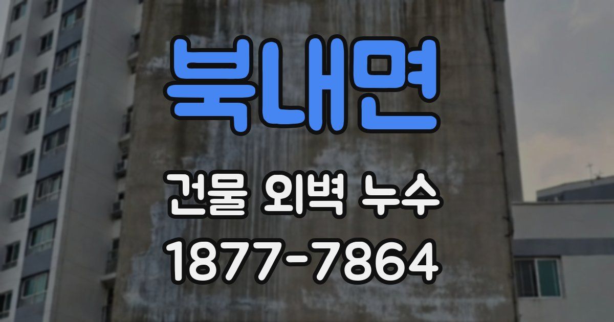 북내면 건물 외벽 누수
