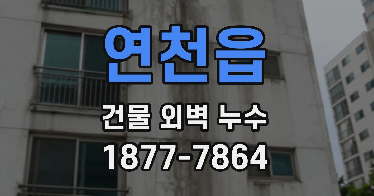연천읍 건물 외벽 누수