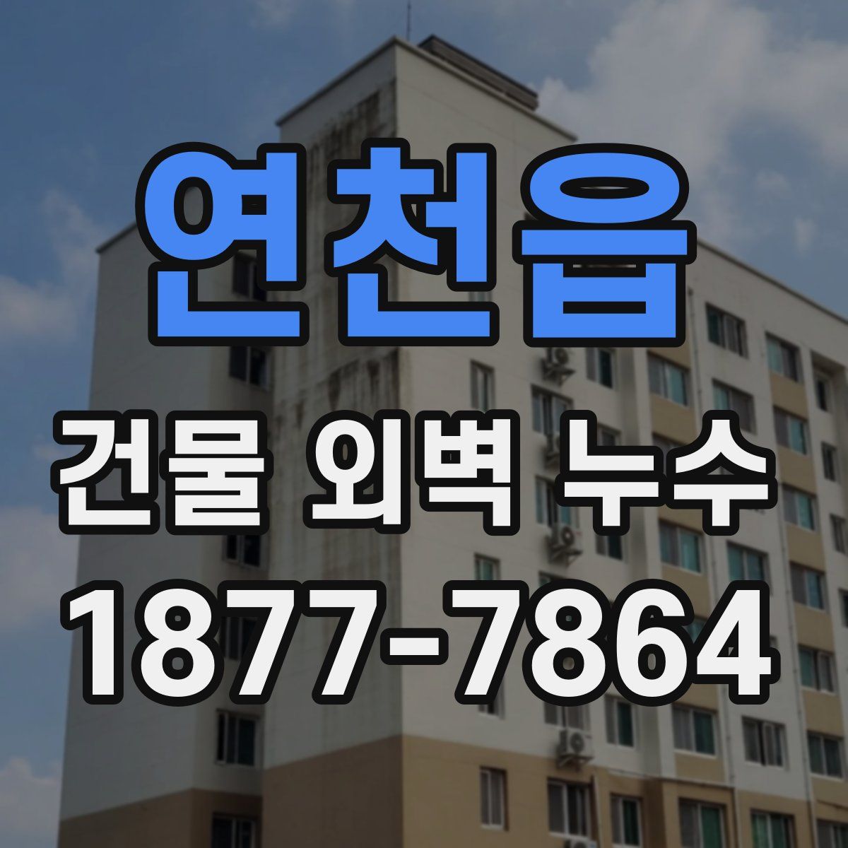 연천읍 건물 외벽 누수