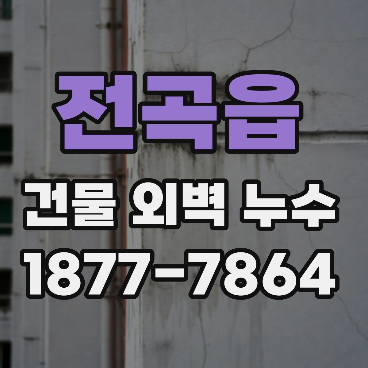 전곡읍 건물 외벽 누수