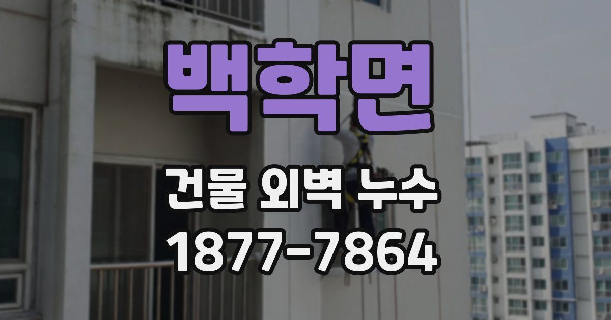 백학면 건물 외벽 누수