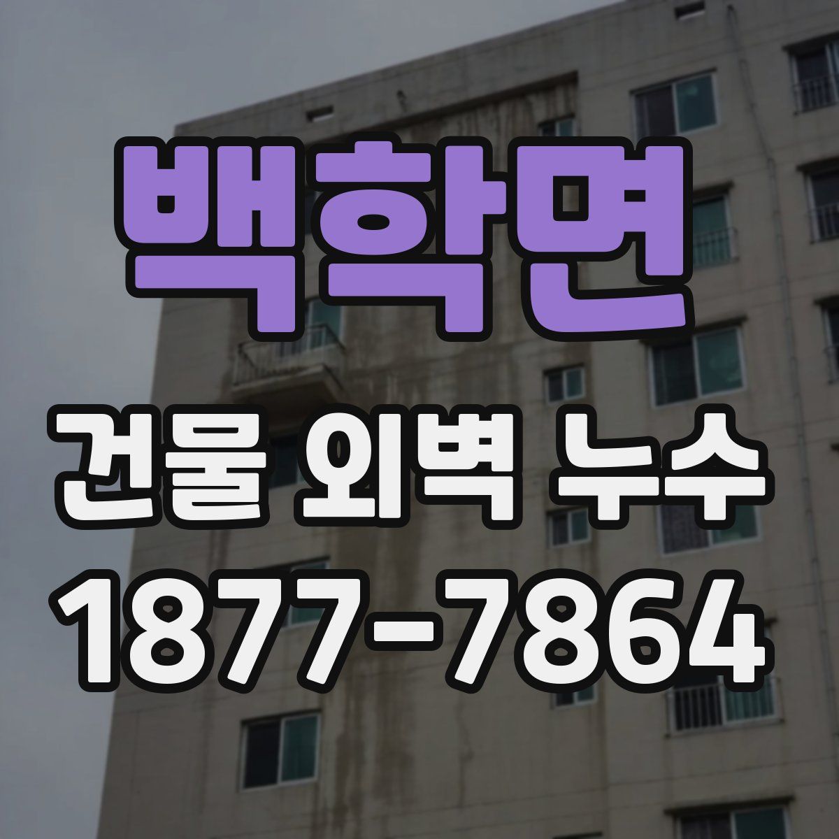 백학면 건물 외벽 누수