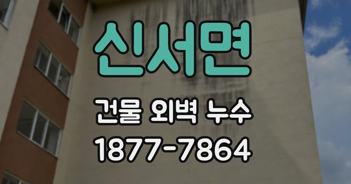 신서면 건물 외벽 누수