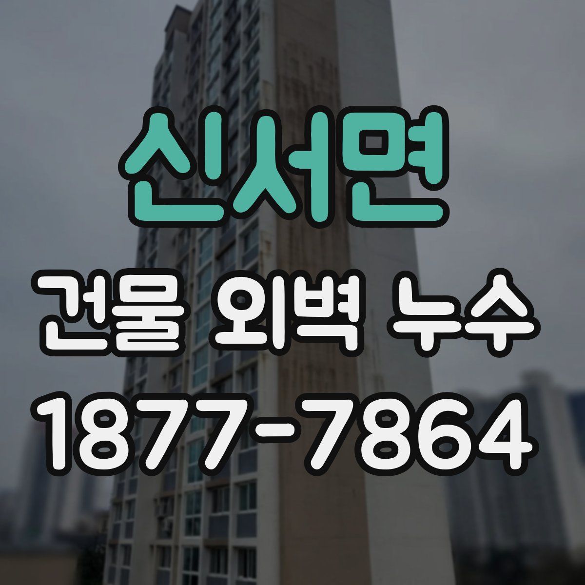 신서면 건물 외벽 누수