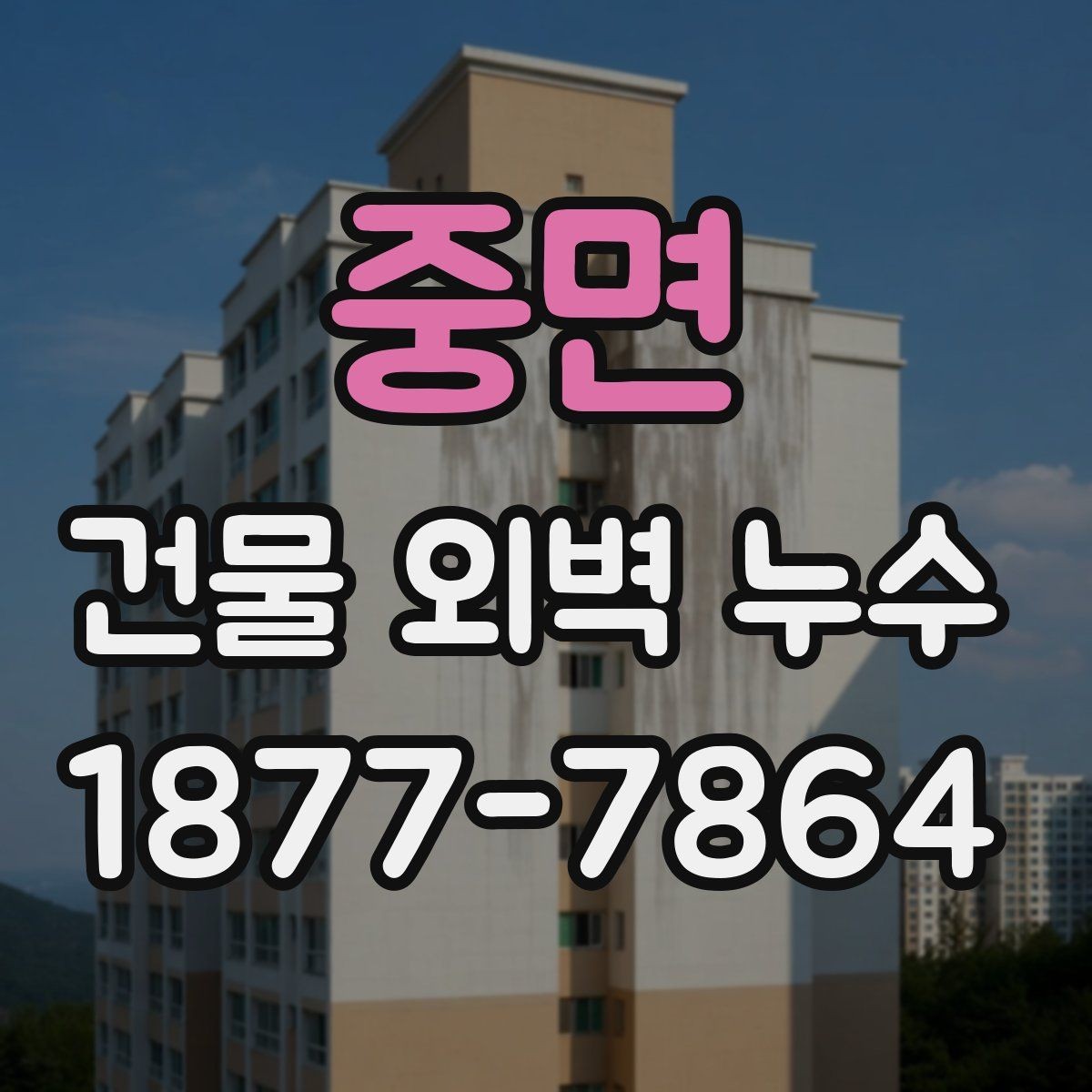 중면 건물 외벽 누수 진단 결과를 해석하는 방법