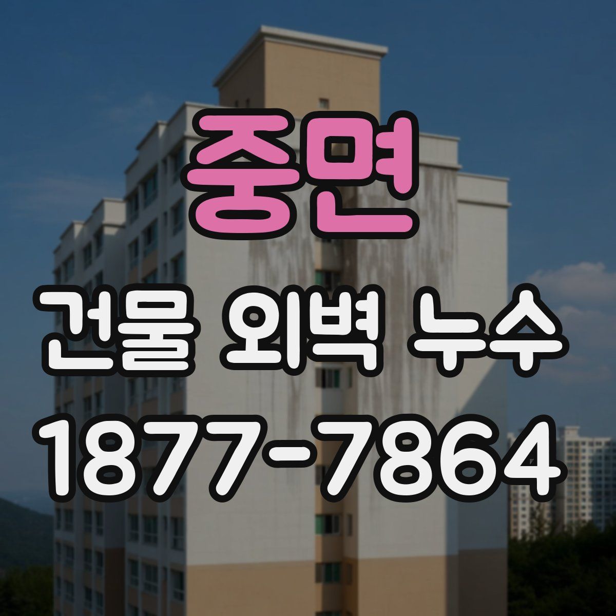 중면 건물 외벽 누수