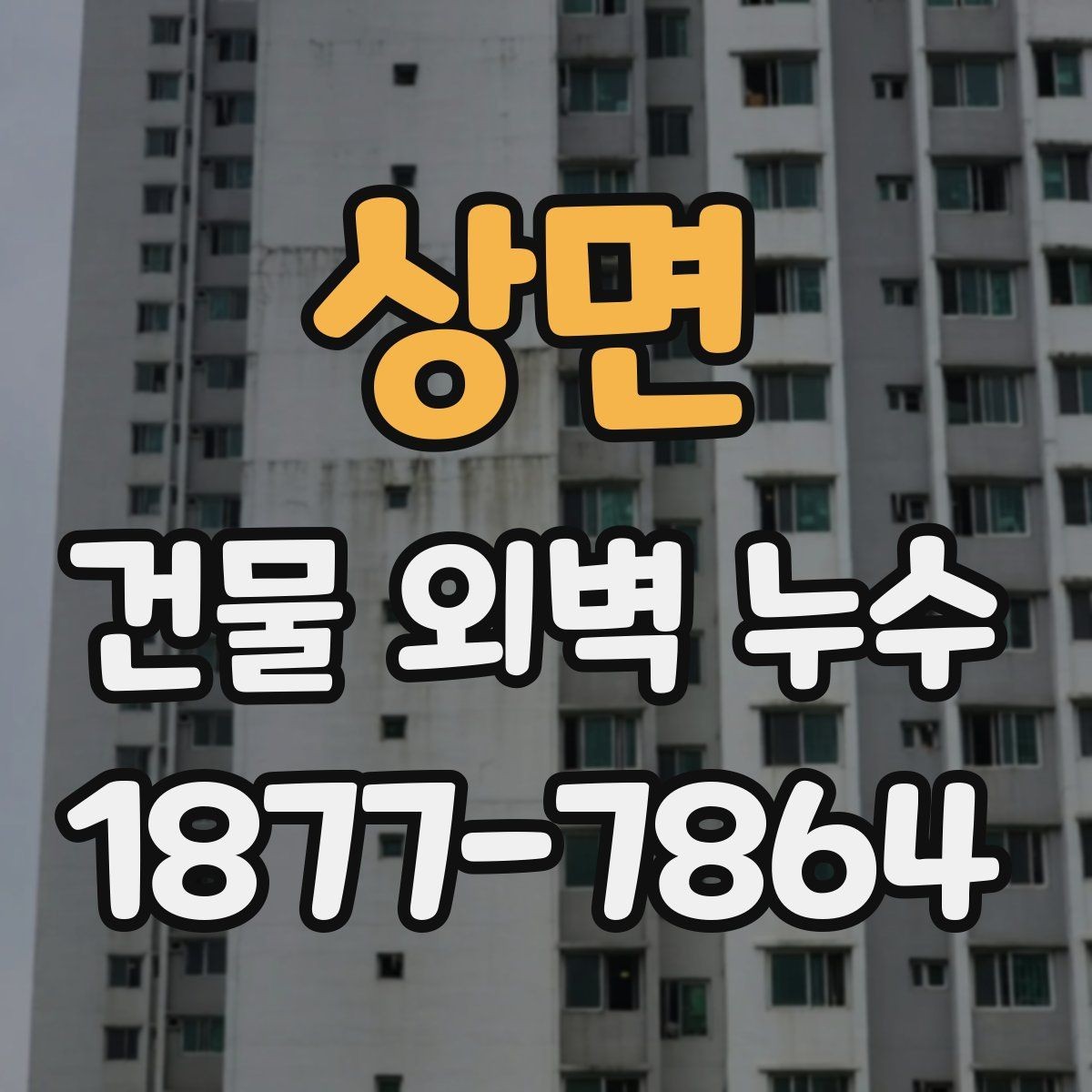 상면 건물 외벽 누수 보수 전 알아둘 기준