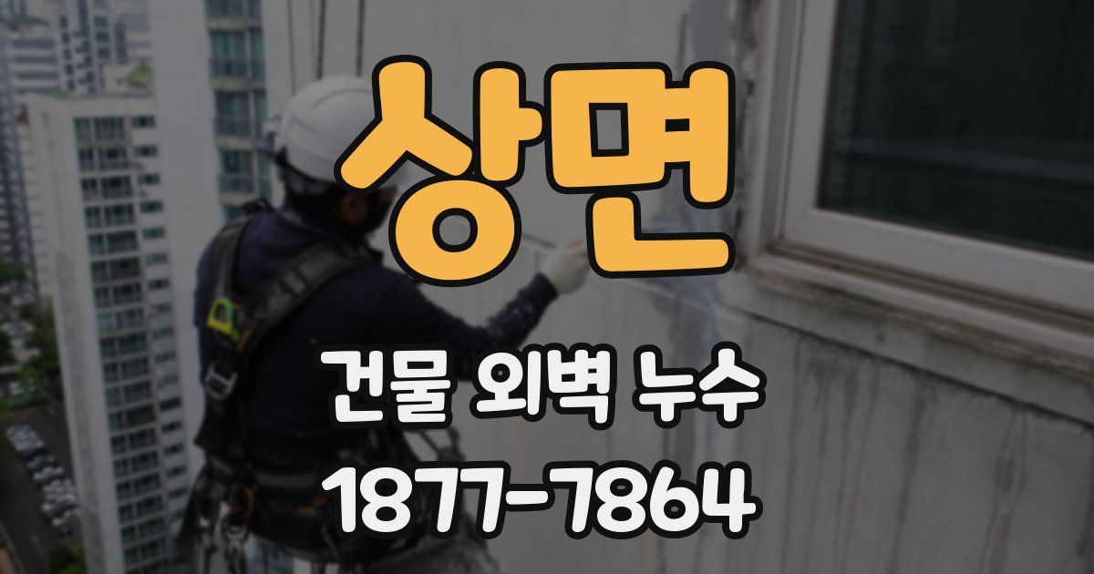 상면 건물 외벽 누수