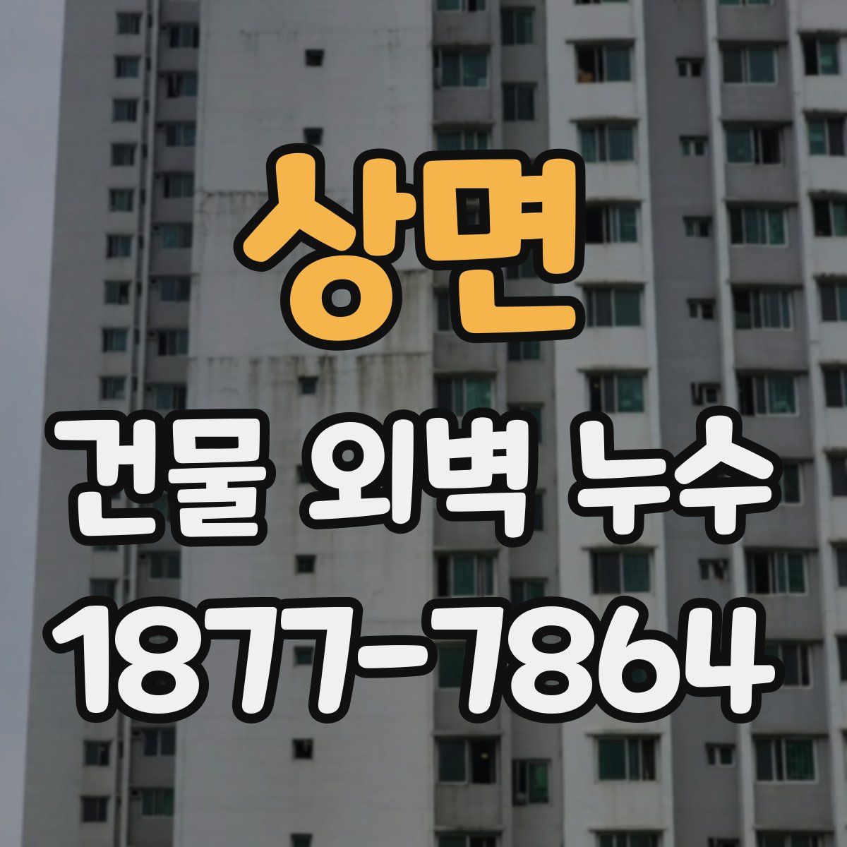 상면 건물 외벽 누수