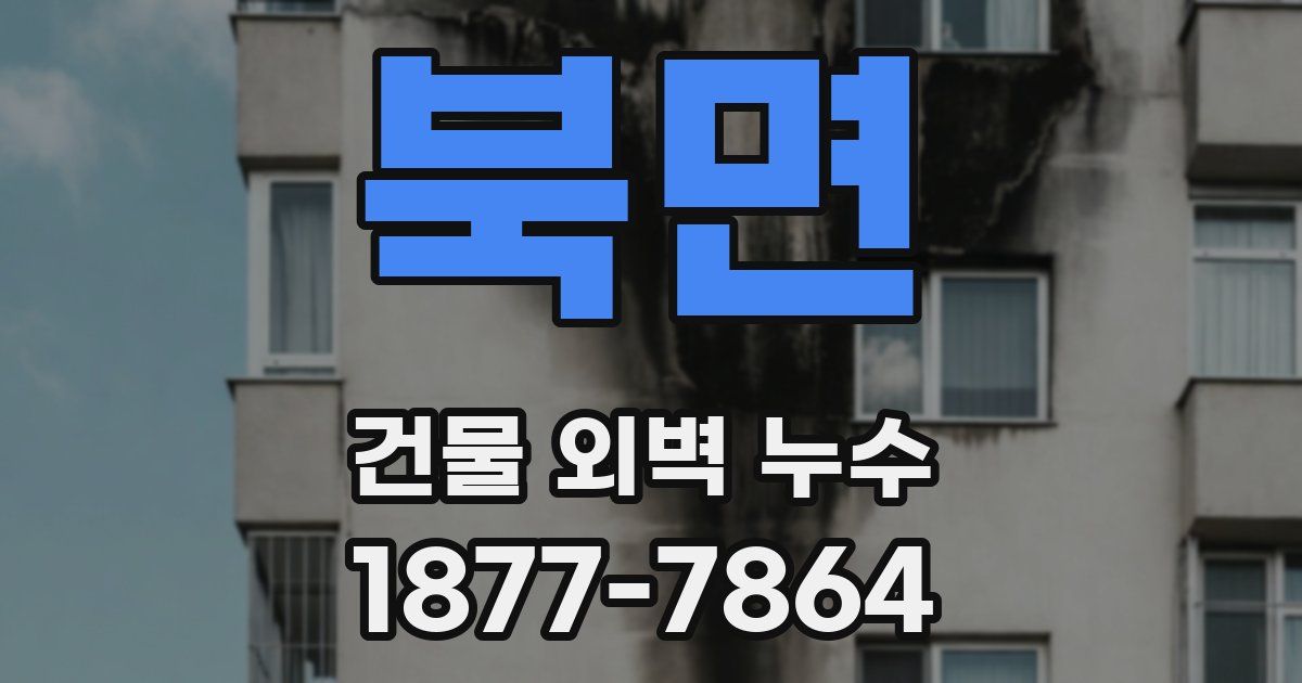 북면 건물 외벽 누수