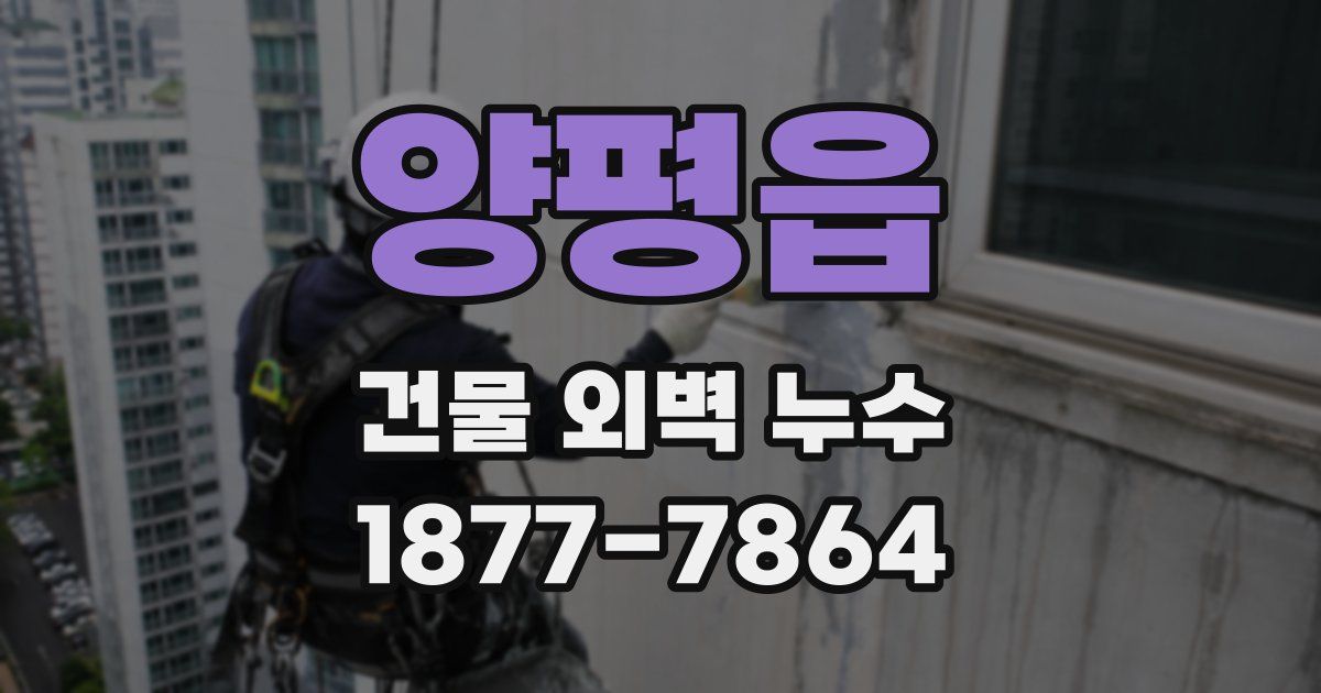 양평읍 건물 외벽 누수