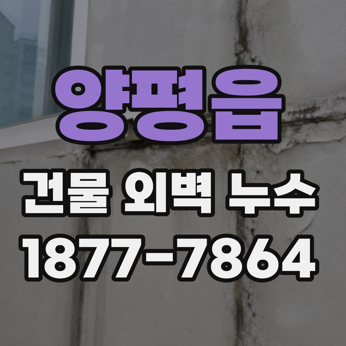 양평읍 건물 외벽 누수