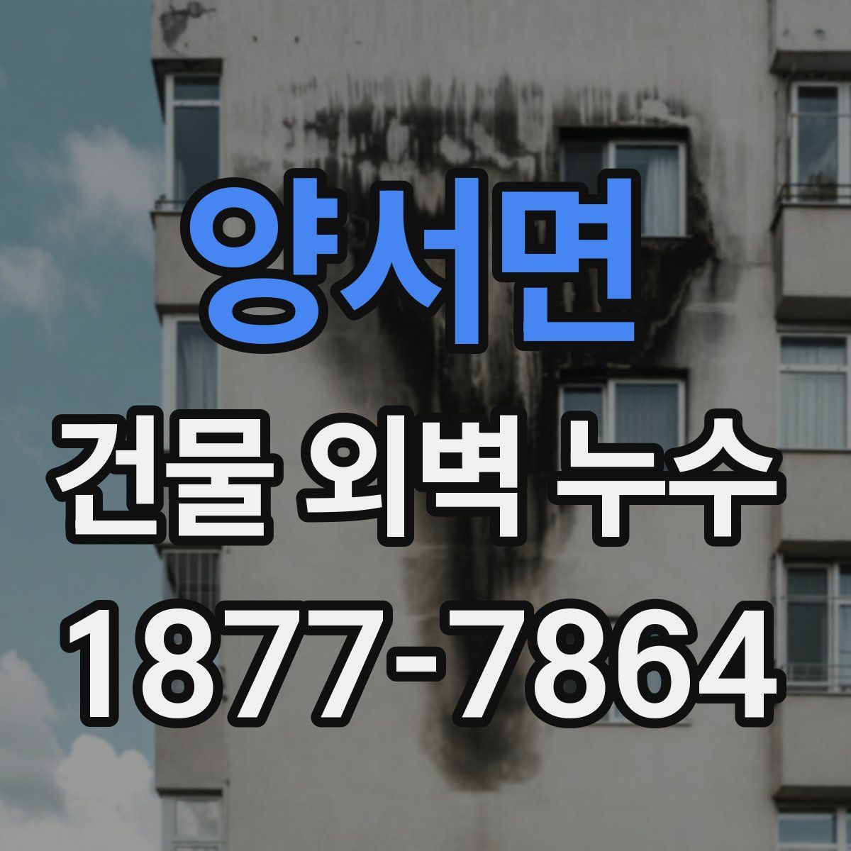 양서면 건물 외벽 누수