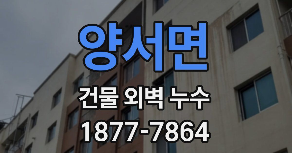 양서면 건물 외벽 누수