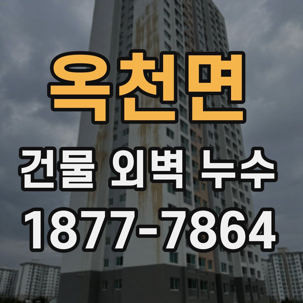 옥천면 건물 외벽 누수