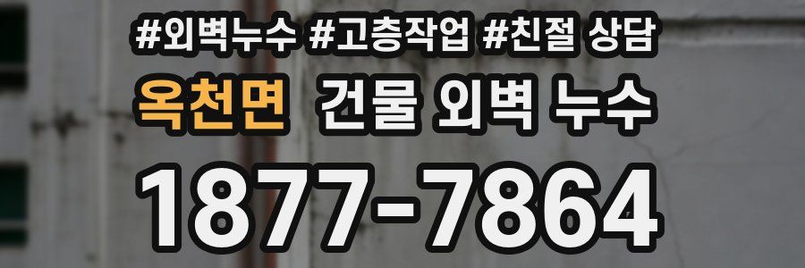 옥천면 건물 외벽 누수
