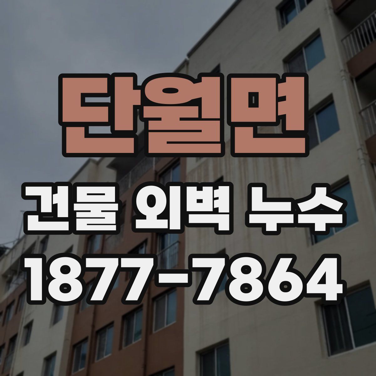 단월면 건물 외벽 누수