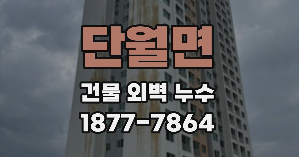 단월면 건물 외벽 누수