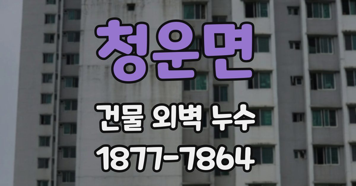 청운면 건물 외벽 누수