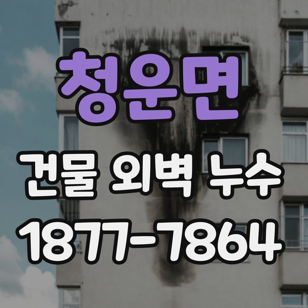 청운면 건물 외벽 누수