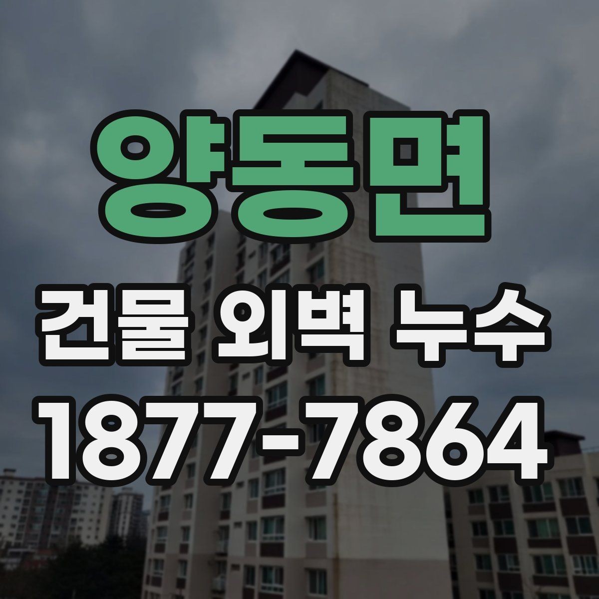 양동면 건물 외벽 누수 원인별 구분 방법