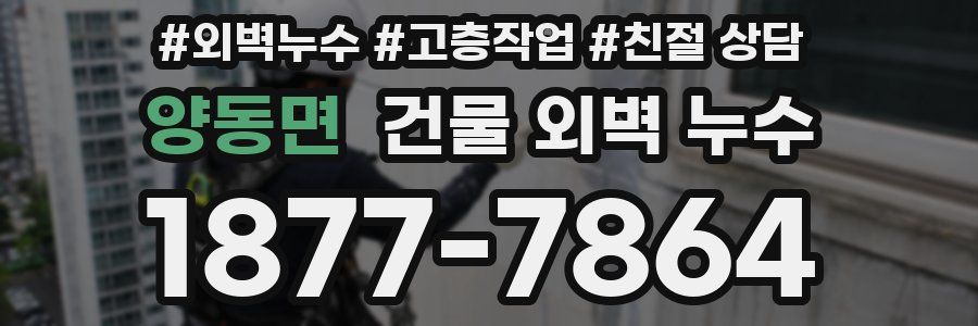 양동면 건물 외벽 누수