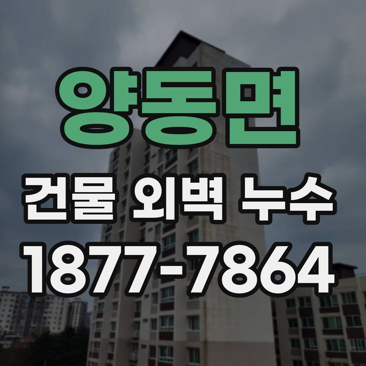 양동면 건물 외벽 누수