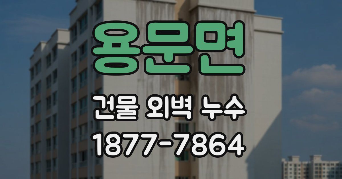 용문면 건물 외벽 누수