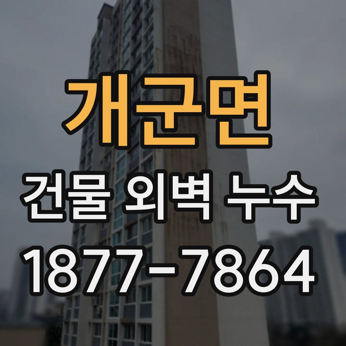 개군면 건물 외벽 누수