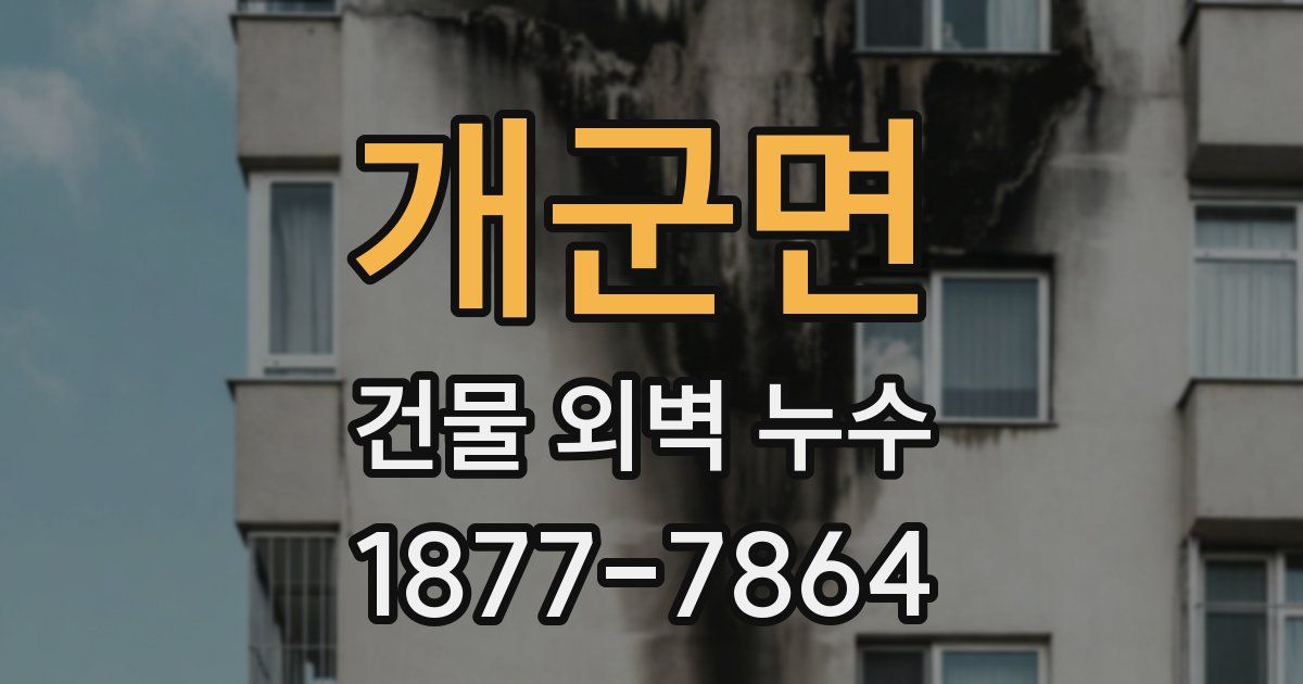 개군면 건물 외벽 누수