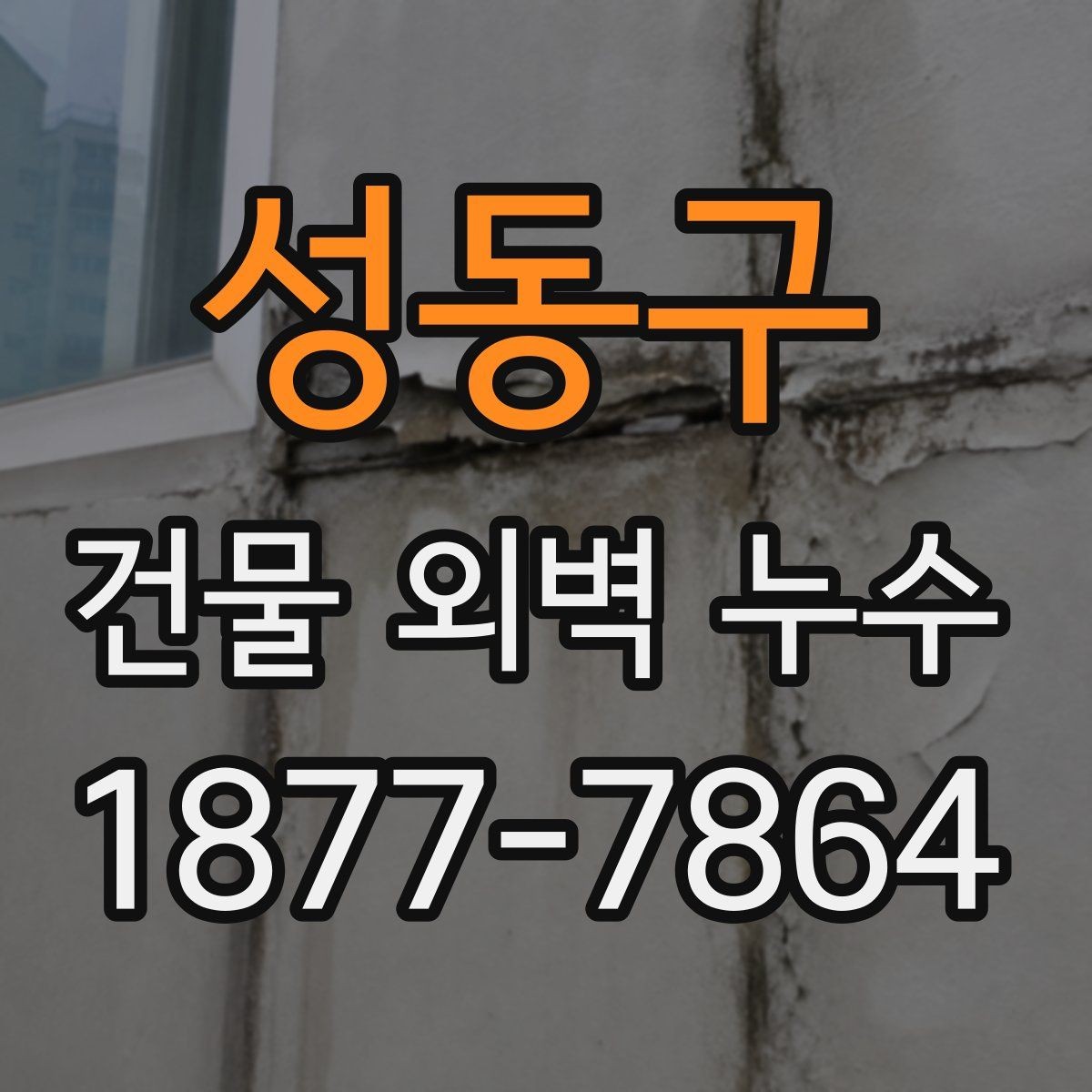 성동구 건물 외벽 누수 점검에서 자주 보는 결함