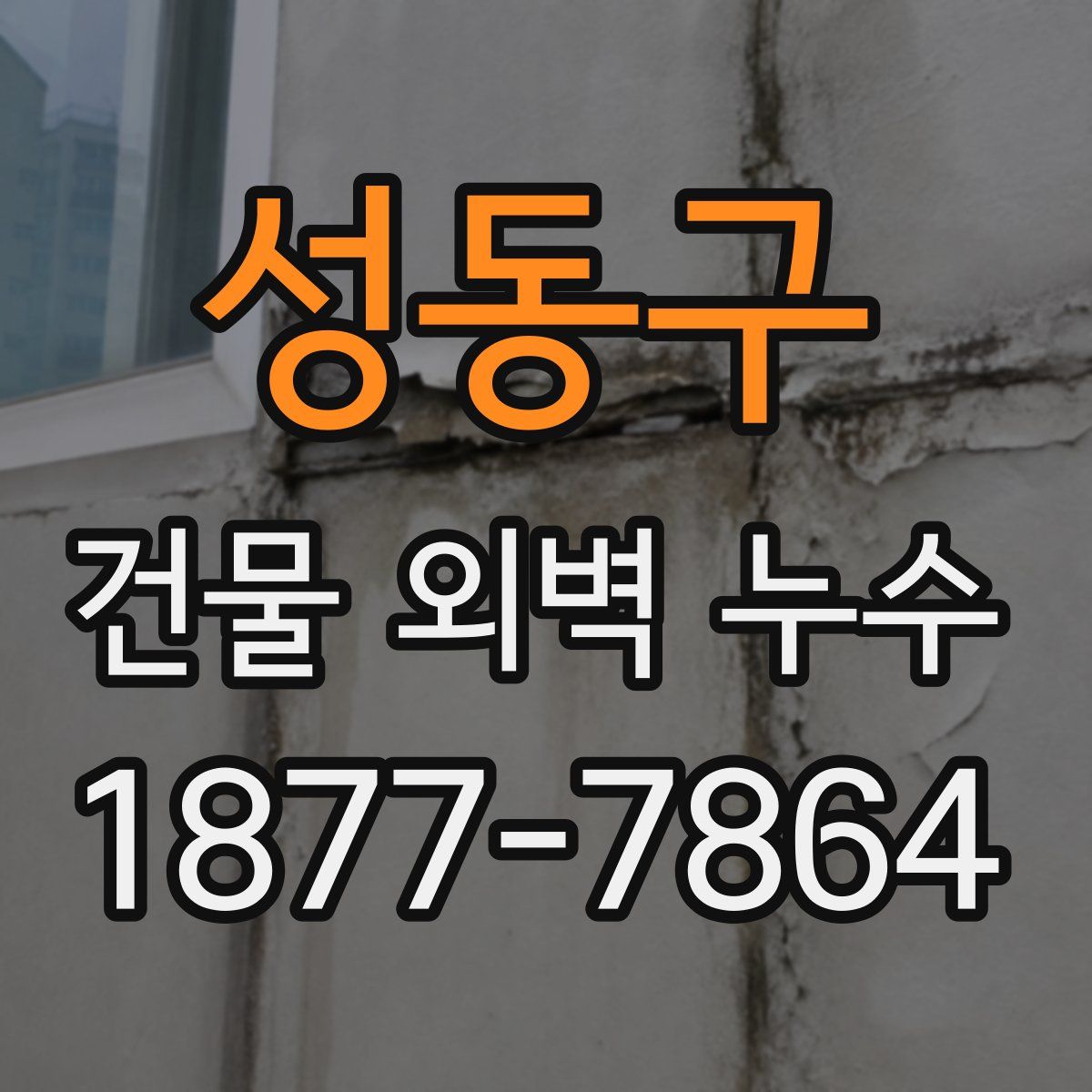 성동구 건물 외벽 누수