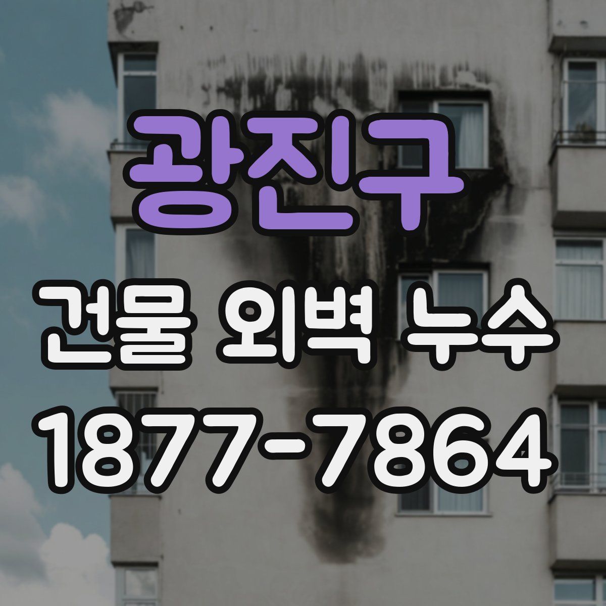 광진구 건물 외벽 누수