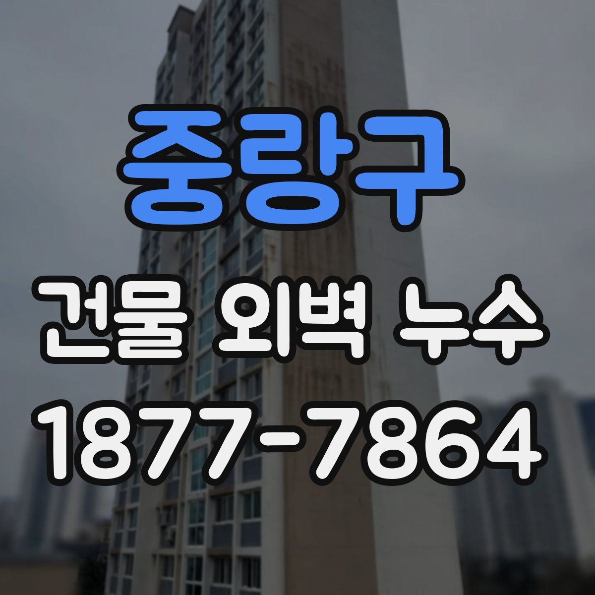 중랑구 건물 외벽 누수