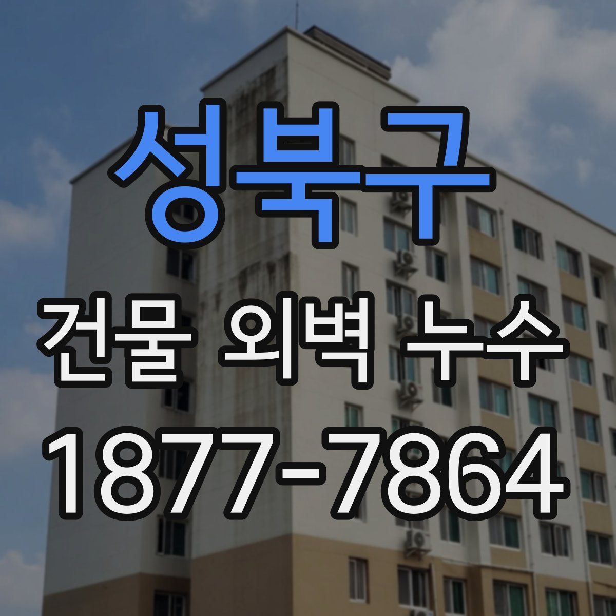 성북구 건물 외벽 누수