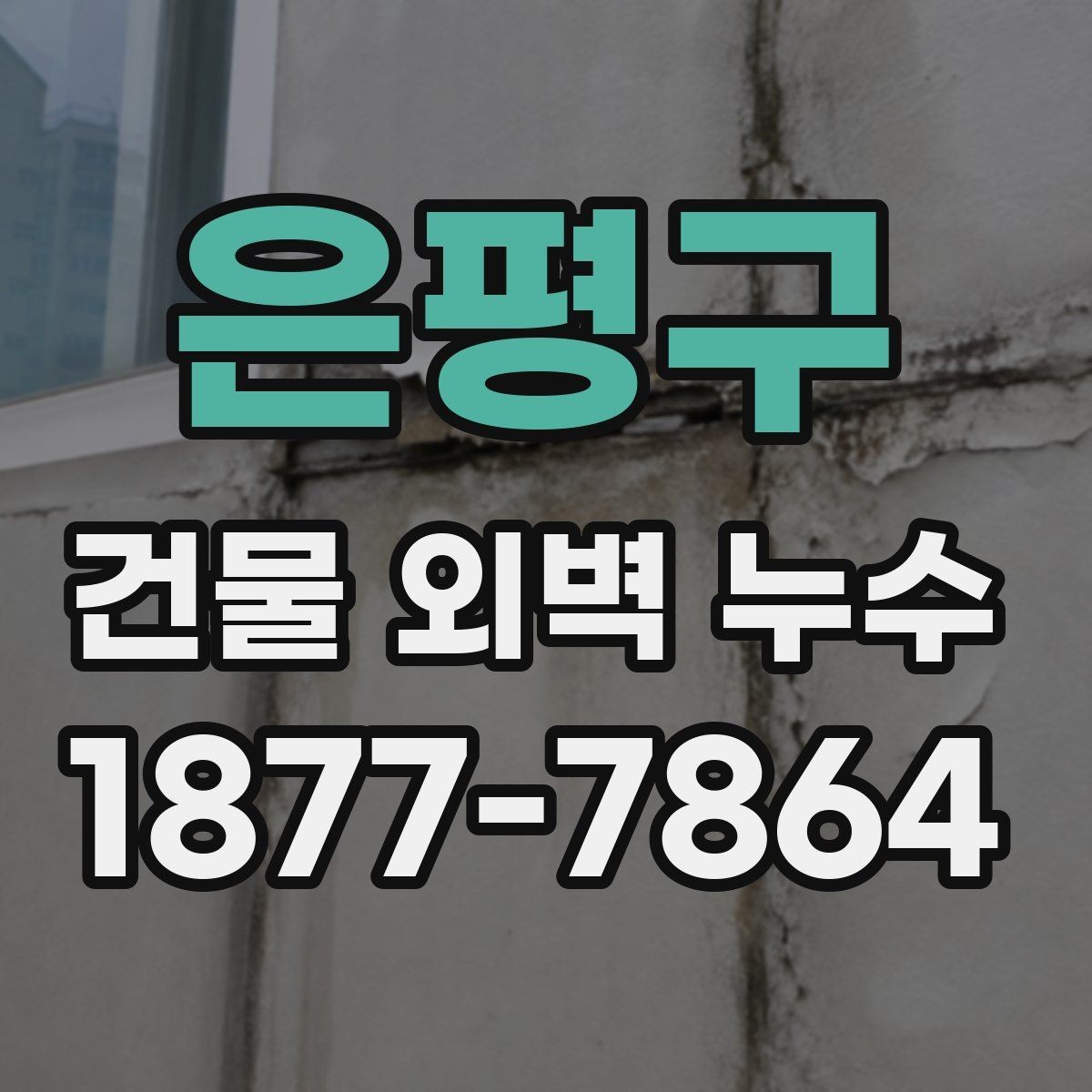 은평구 건물 외벽 누수 보수 업체 선택 기준