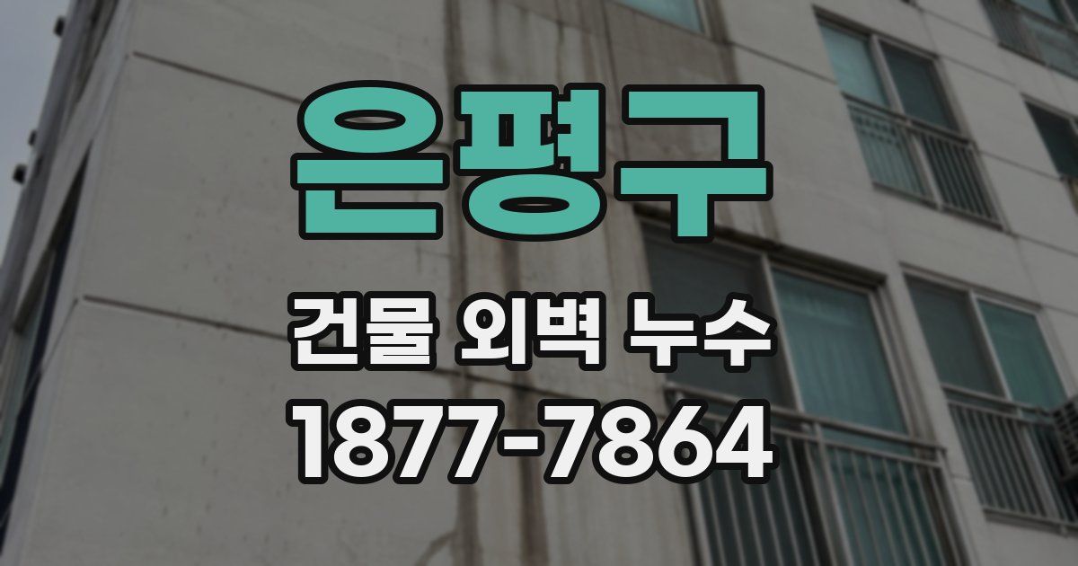 은평구 건물 외벽 누수