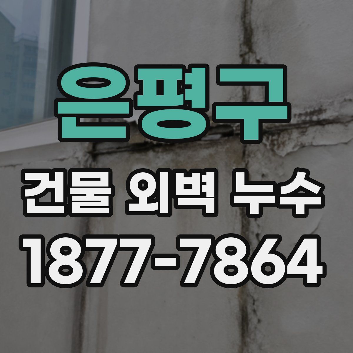 은평구 건물 외벽 누수